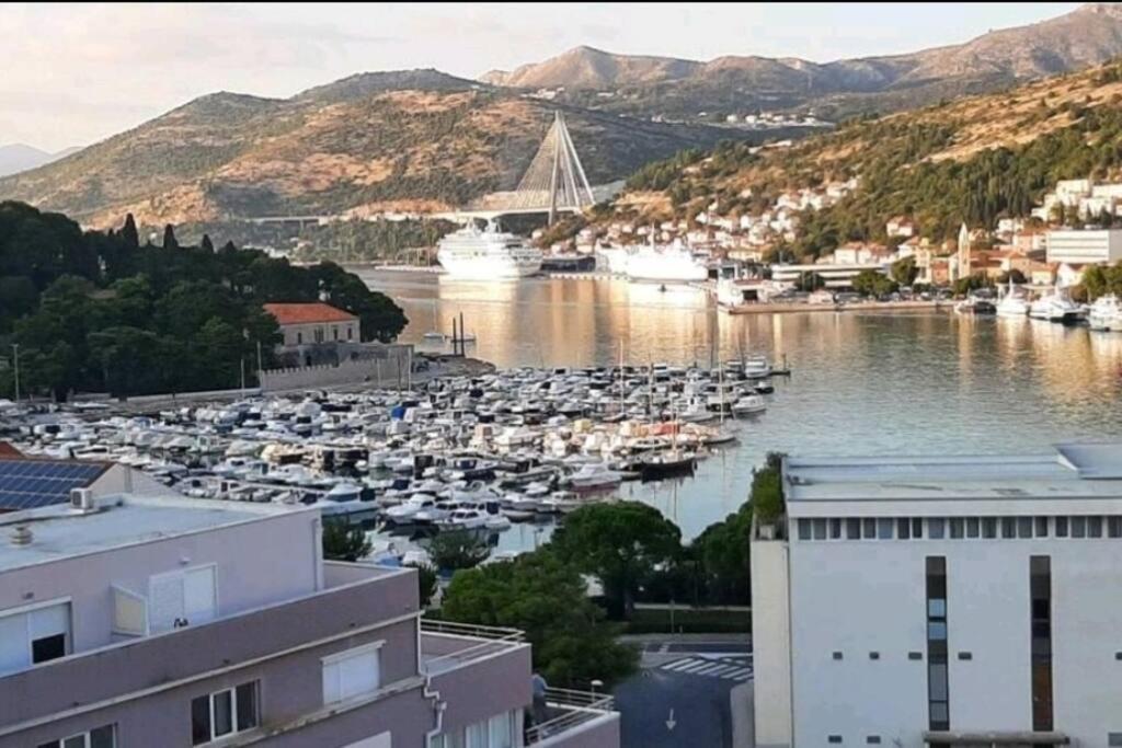 Gorgeous Dubrovnik Sea View Apartment With Free Parking المظهر الخارجي الصورة