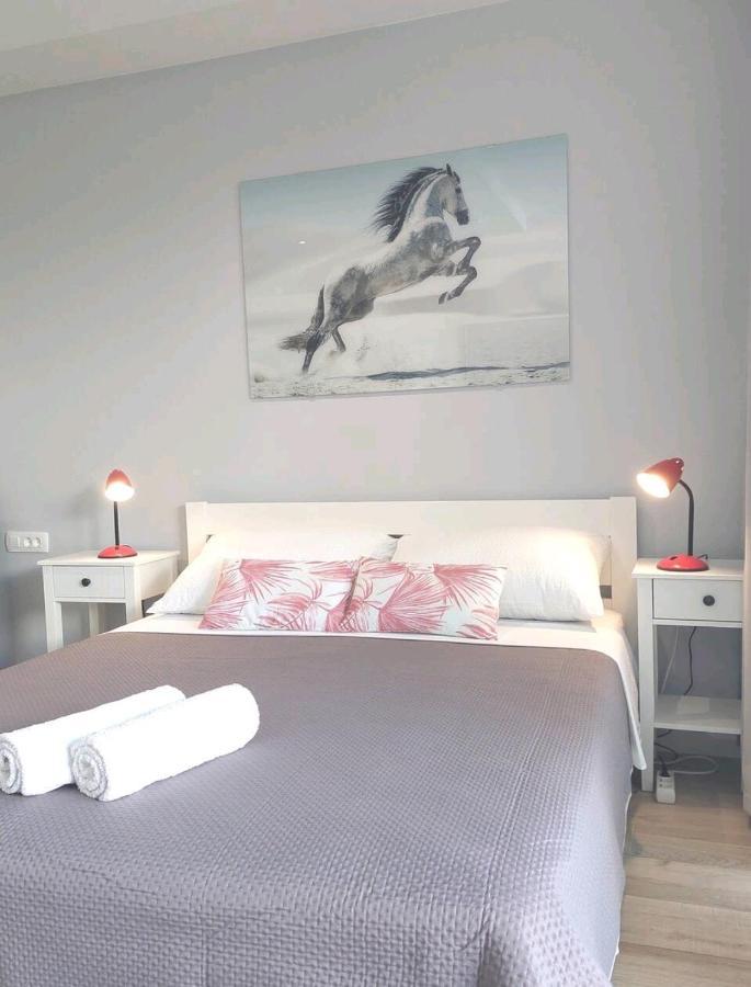 Gorgeous Dubrovnik Sea View Apartment With Free Parking المظهر الخارجي الصورة
